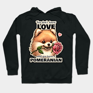 Pomeranian Valentine's day Hoodie